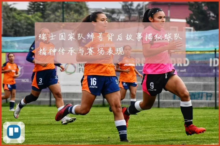 瑞士国家队绰号背后故事揭秘球队精神传承与赛场表现